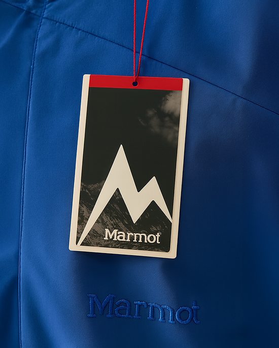 ChatGPT Image Aug 4, 2025, 02_33_52 PM.png