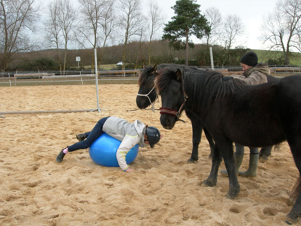 Usson 22 12 2013 (31)