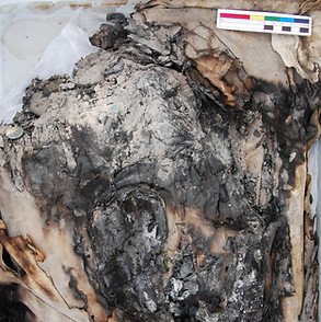 Grab and run pack.jpg