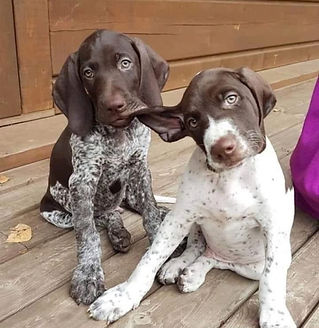 c271a21448a6e043cfa2ee4177331aea_edited.