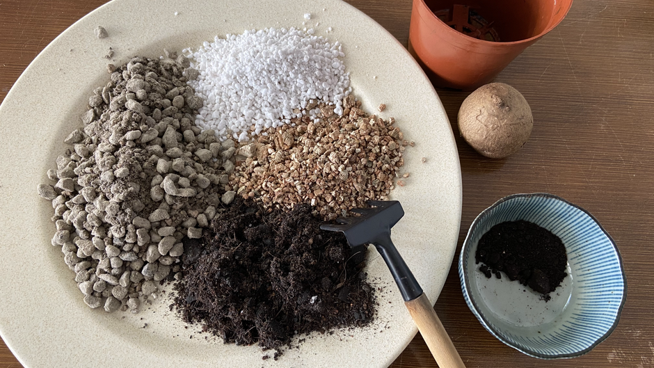 Stephania Erecta Experiment: Thailand & Indonesia Soil Mix - Part 1, The Soil