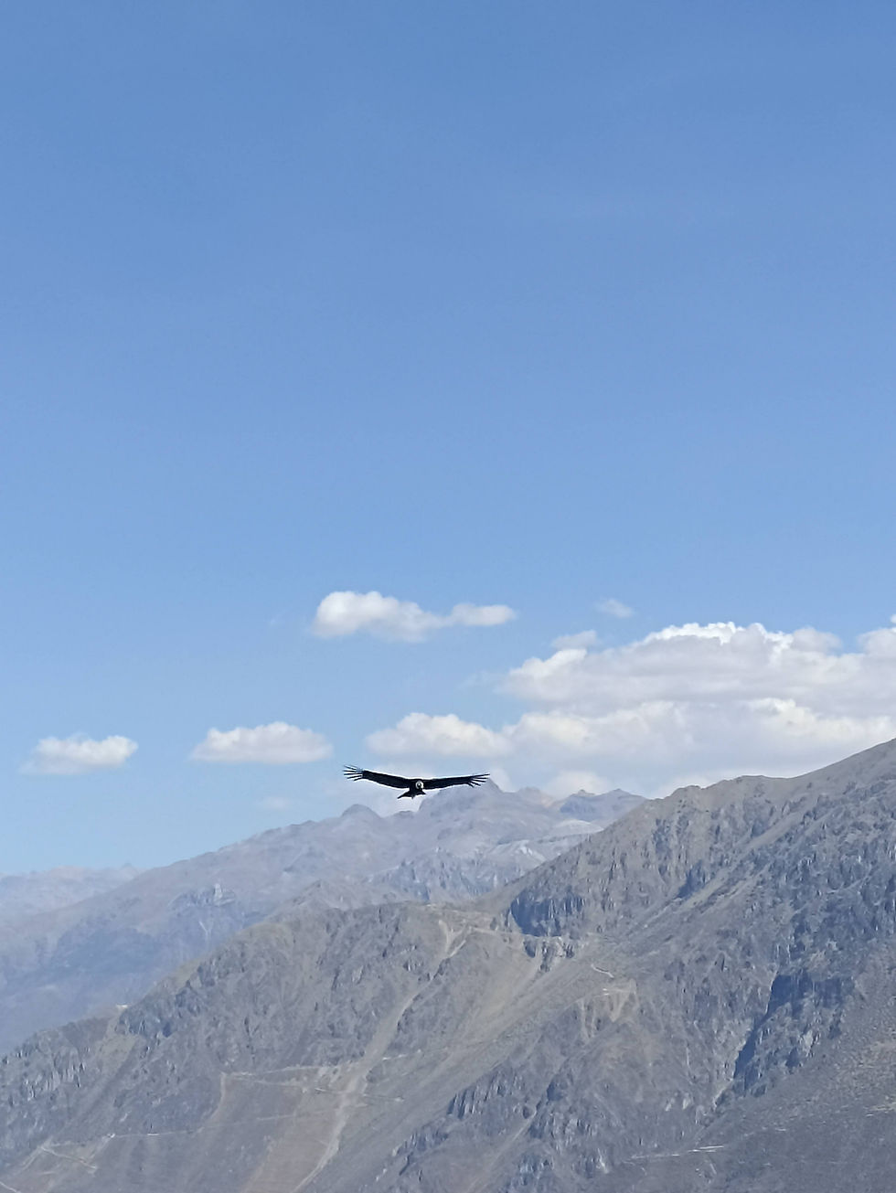 Colca Canyon