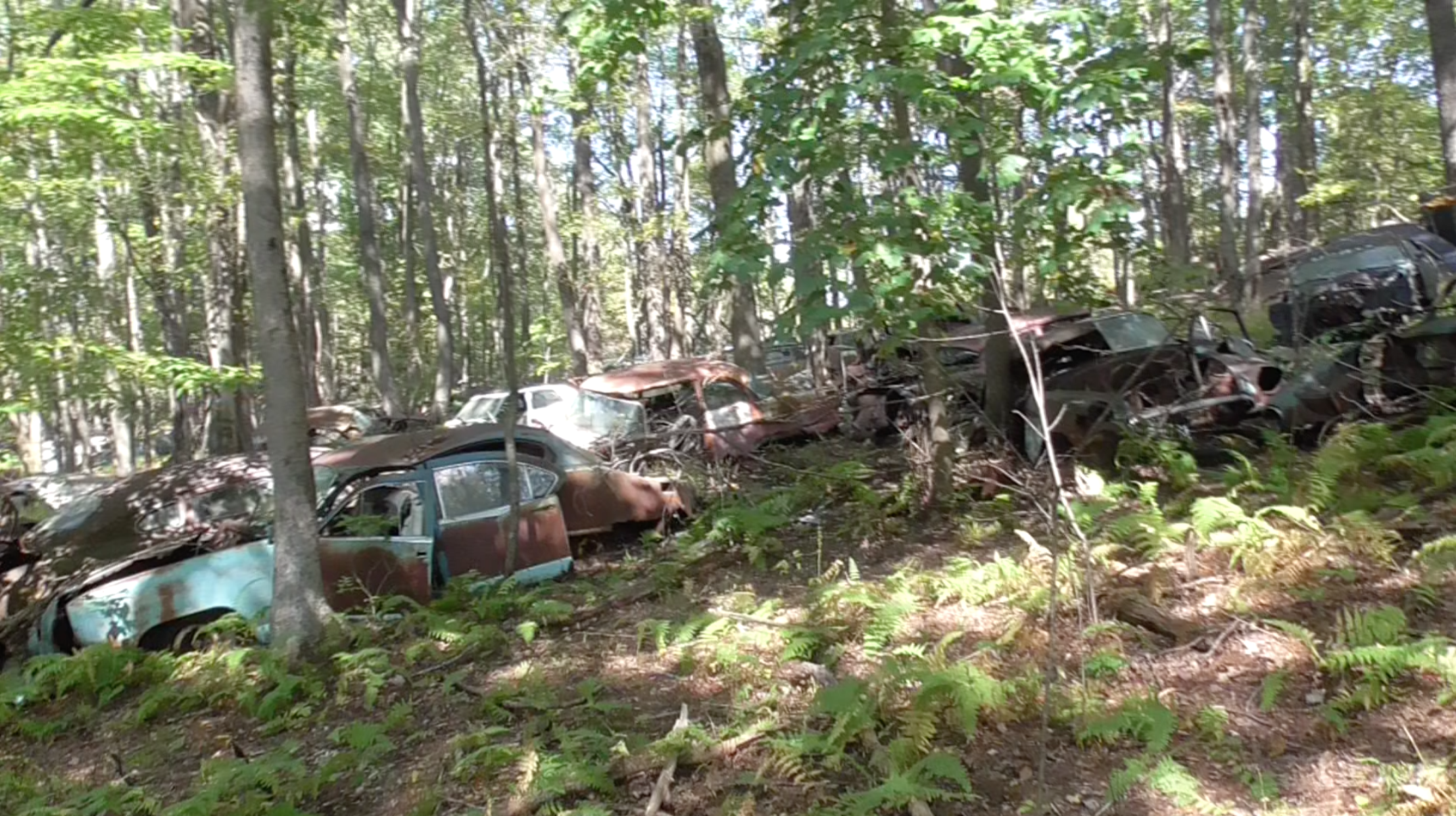 Screen Shot 2019-10-09 at 12.58.35