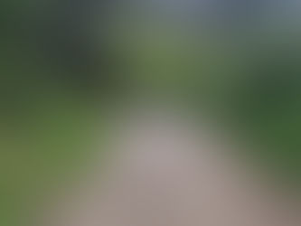 We fail miserably at van life for 24 hours