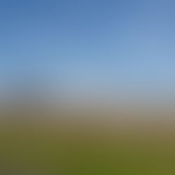 Welcome to the West Coast