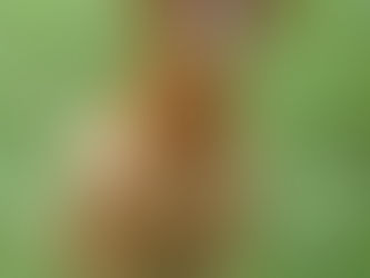 Making friends near the Graffiti Highway