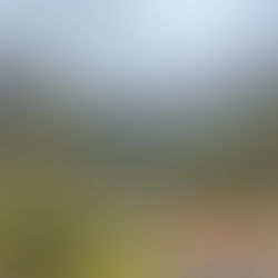 Living the high life