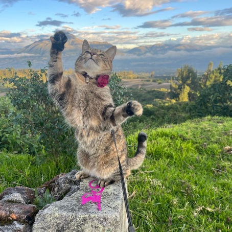 A final two weeks at the laguna