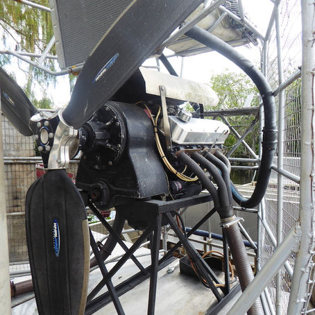 Gators in the Everglades and the biggest VW festival on the East Coast