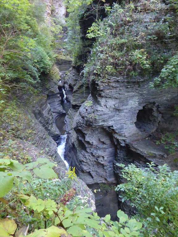 P1000657