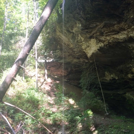 Out in the sticks for breakdown #3