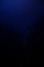 black%2520stars%25202_edited_edited_edited_edited_edited_edited_edited_edited.jpg