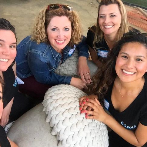 Cooke Orthodontics