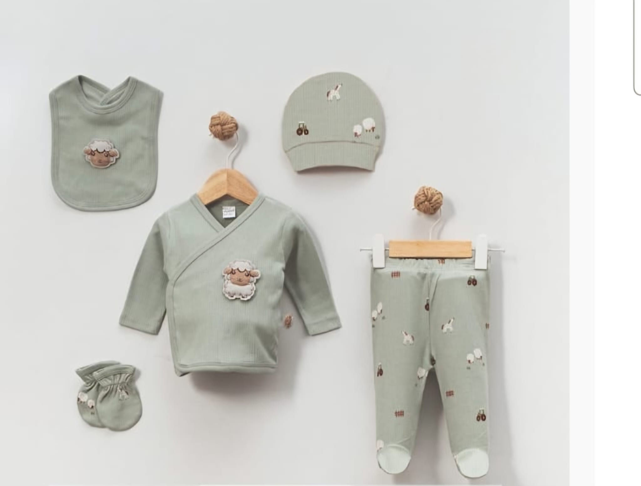 Sage green farm 5 piece set