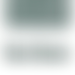 New Product Review: Blue Pelican Math Algebra I