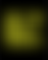 WHY YOU NEED A WEBSITE