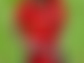 Timor Leste's prospect, Zenivio Mota, is ready for the first team