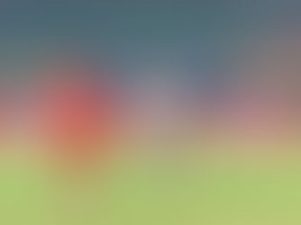 Fabio Cannavaro? No, Vabio Canavaro