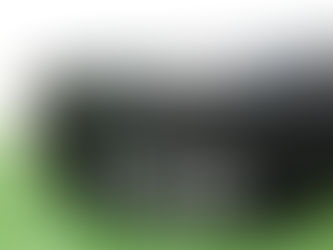 Pre-Owned Ping Putter