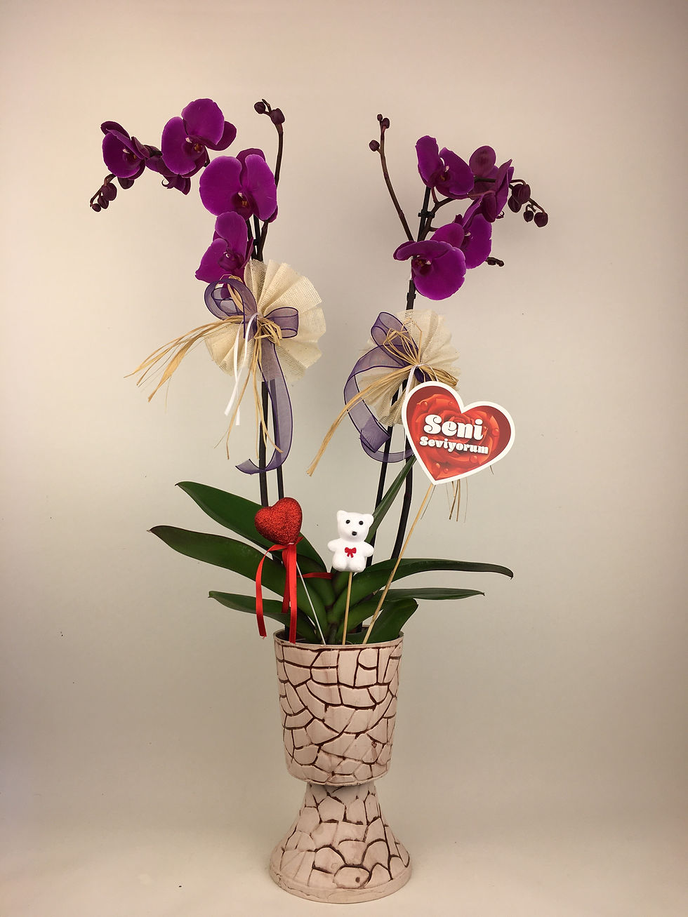 Küçük resim: Tsugi Desenli Vazoda 2 Dallı Orkide