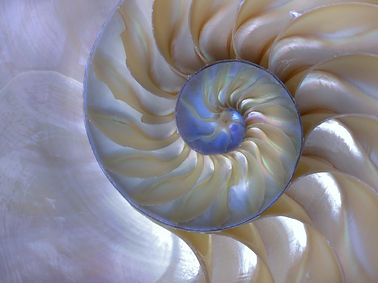 shutterstock_76794007_edited_edited_edited_edited_edited.jpg