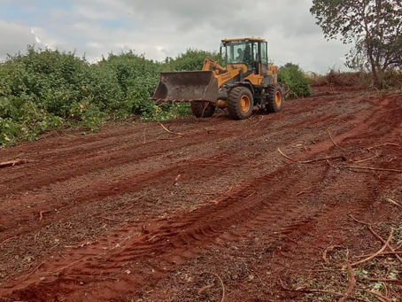 Clearing the Way: Why Bush Clearing is Crucial in Construction