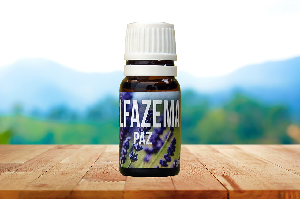 Essência Alfazema