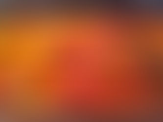 Tabuleiro de Castanhas no Forno com Cogumelos e Tomate