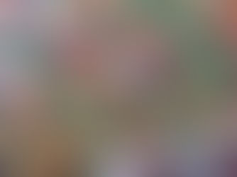 Ervilhas à camponesa