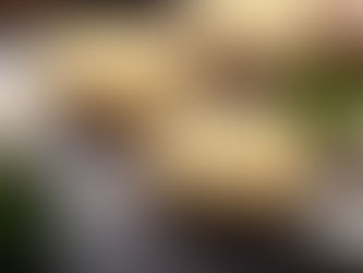 hamburgers para congelar