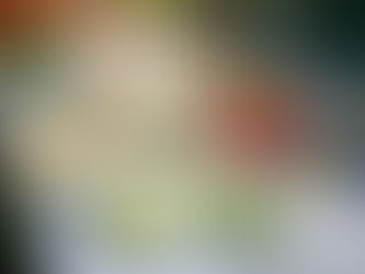 picnic com amigos e familia