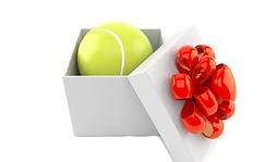 Gift tennis Ball present_edited_edited.png