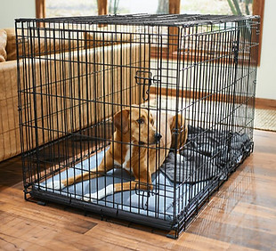 Frisco Heavy Duty All-in-1 Multi-Stage 3 Door Collapsible Wire Dog Crate, X-Large.jpg