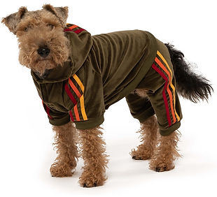 fabdog Velour Jogger Stripes Dog Sweater, Olive, 24-in.jpg