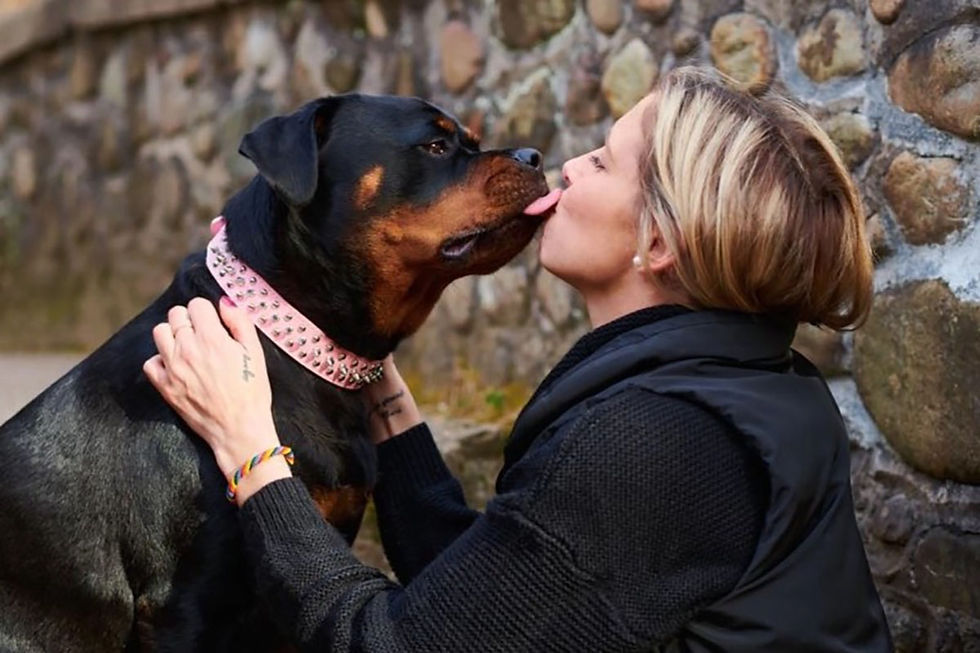 German Rottweiler Puppies For Sale - Image - Lyndsey and Queen Bea Von Der Korperkraft