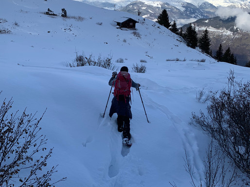 Walking, snow shoeing and ski trekking