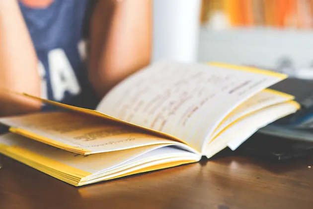 essay introduction exercises conclusion examples