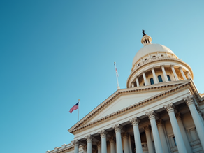 Political & Government Reform Strategies: Effective Ways to Change the System