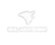 solarwinds