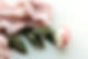 sixteen-miles-out-pxqfIFmu6NA-unsplash_edited_edited.jpg
