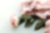 sixteen-miles-out-pxqfIFmu6NA-unsplash_edited.jpg