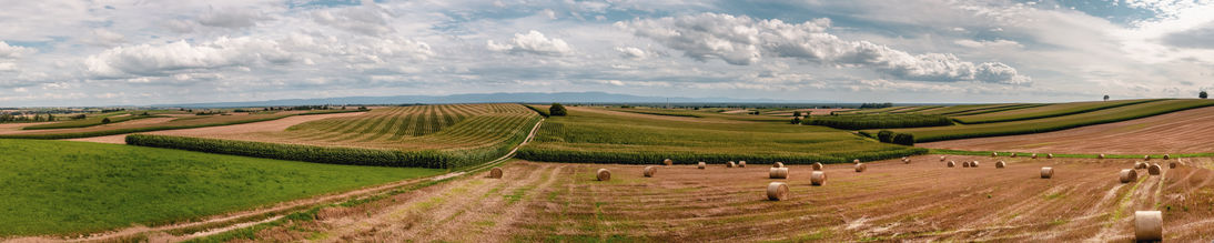 Panorama_FR_1.jpg