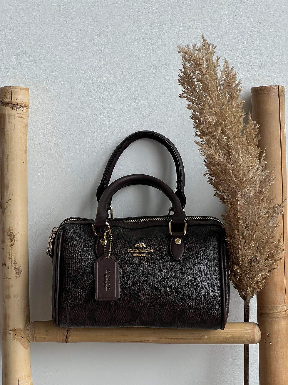 Сумка Coach Mini Rowan Crossbody In Signature