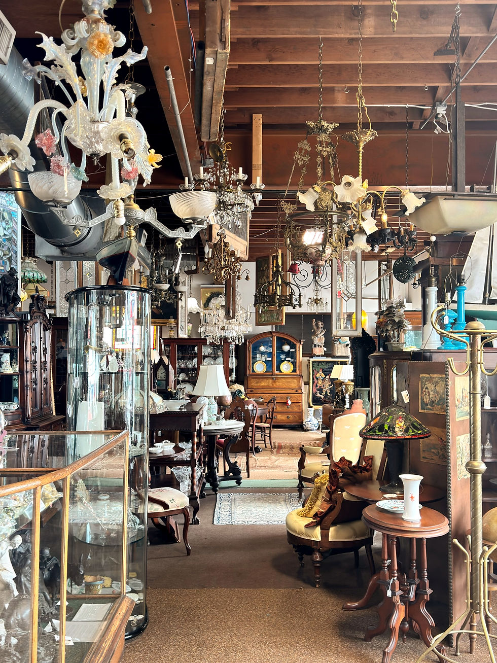 Interior of Aardvark Antiques in Newport, Rhode Island, filled with vintage furniture, chandeliers, glass cabinets, lighting fixtures, and antique decor.