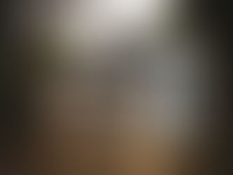 Front view of 1898 Victorian Farmhouse in Tennessee with double wrap-around porch, ornate trim, and two-story structure framed by trees.