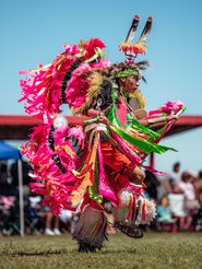 Powwow Dancer