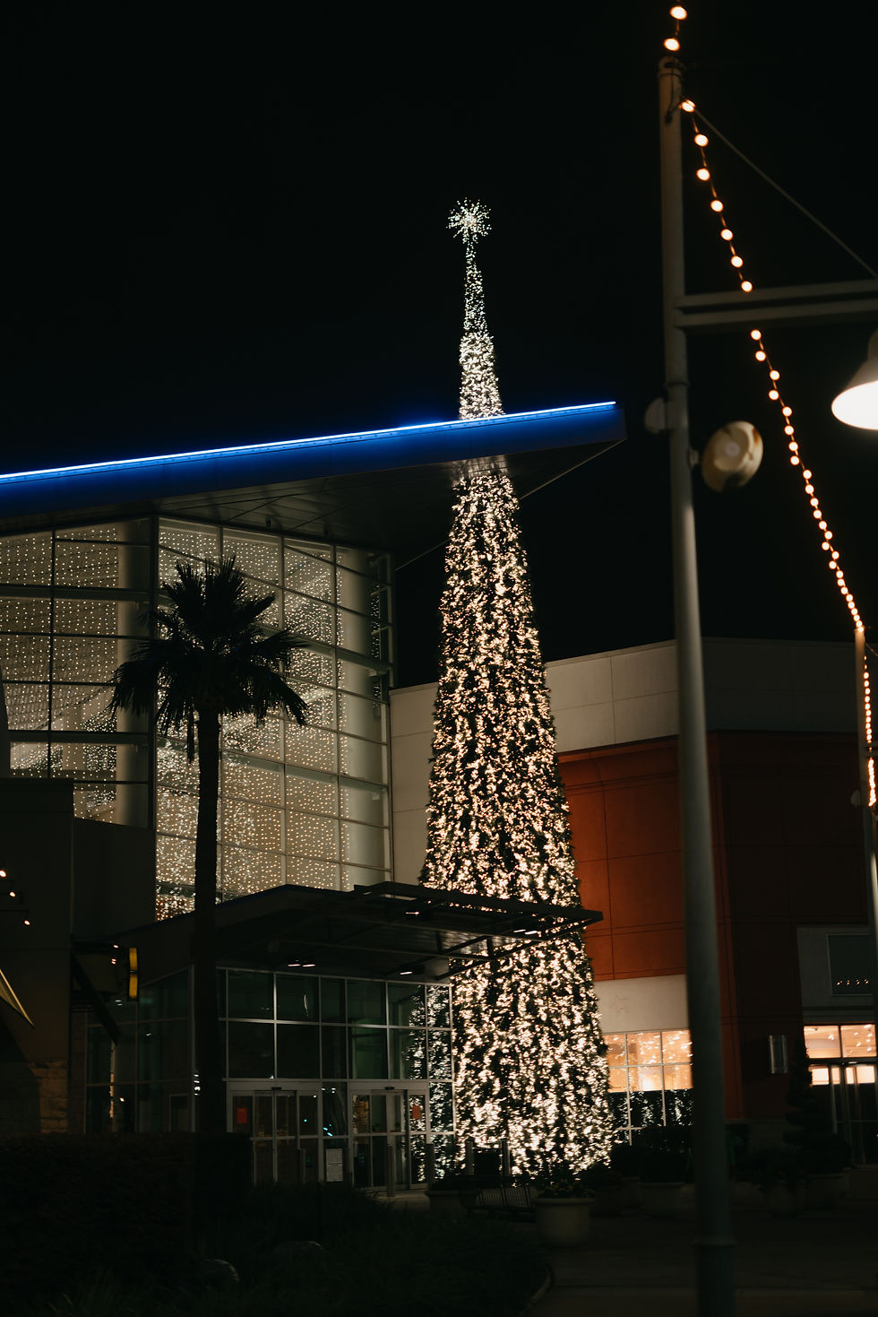 Commercial Christmas Lights