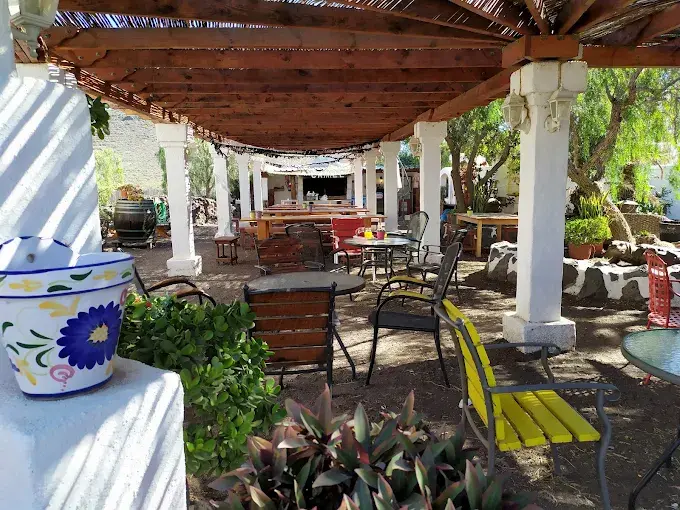 Thumbnail: Kameldýragarður