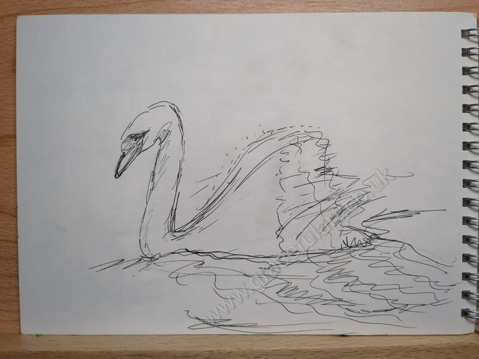 pooleswan2240319