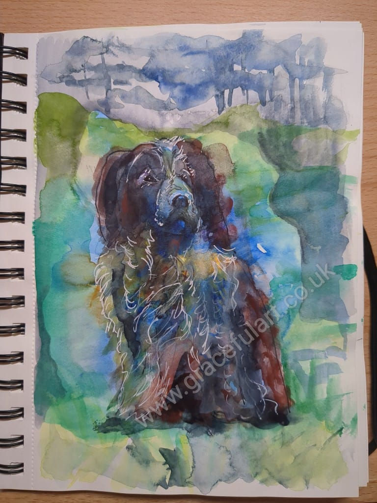 himbda dog in the rain040719